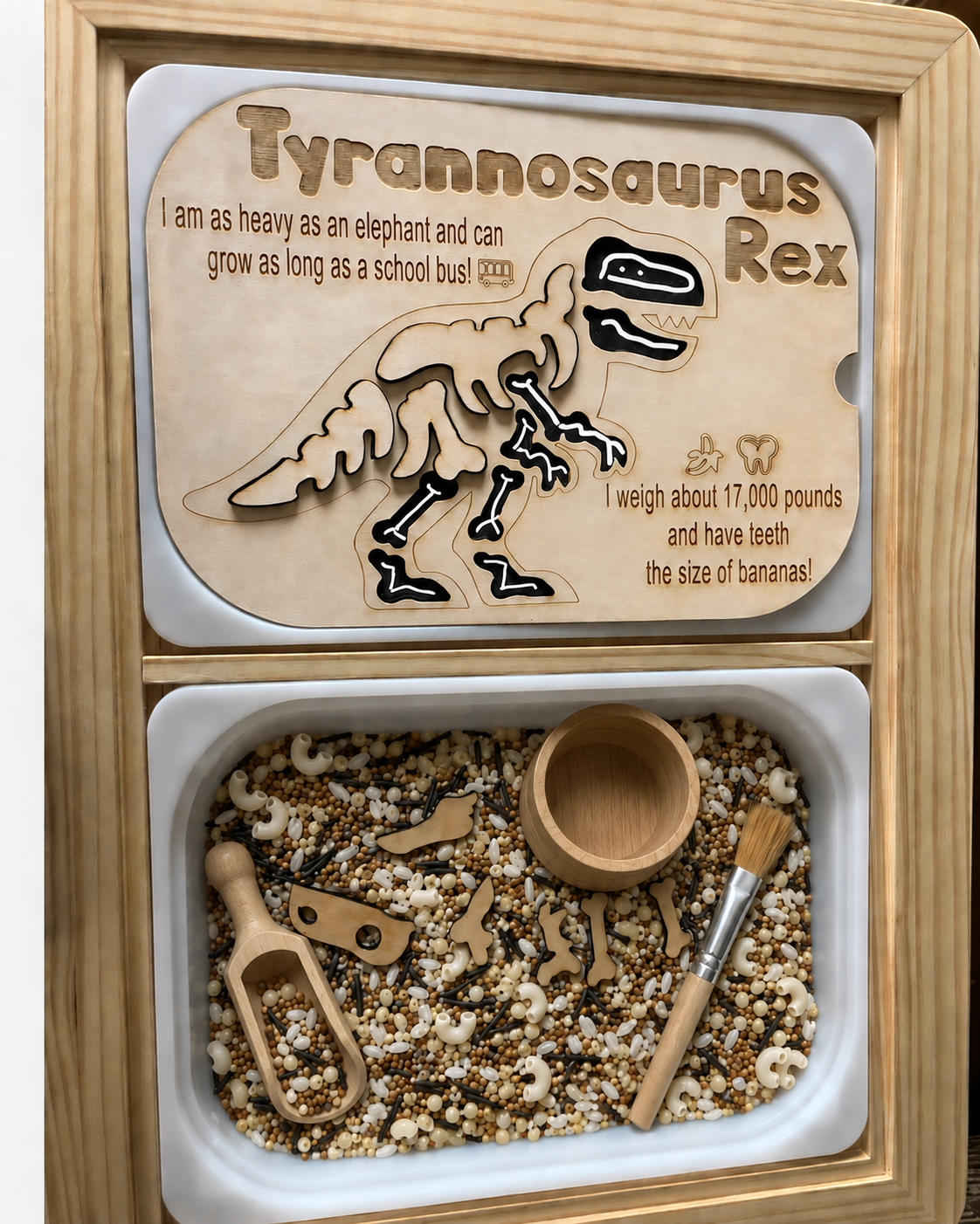 🦖 Chalk and Play™ Dino Dunes Sensory Filler